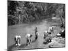 Women Washing Clothes in the River, Port Antonio, Jamaica, C1905-Adolphe & Son Duperly-Mounted Giclee Print