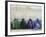 Women Wearing Burquas Wait to be Received at a Clinic-null-Framed Photographic Print