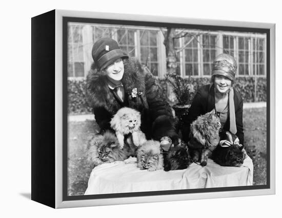 Women with their Persian Cats at Cat Show Photograph - Washington, DC-Lantern Press-Framed Stretched Canvas