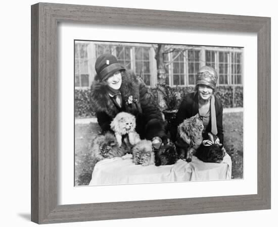 Women with their Persian Cats at Cat Show Photograph - Washington, DC-Lantern Press-Framed Art Print