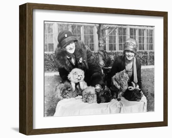 Women with their Persian Cats at Cat Show Photograph - Washington, DC-Lantern Press-Framed Art Print