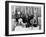 Women with their Persian Cats at Cat Show Photograph - Washington, DC-Lantern Press-Framed Art Print