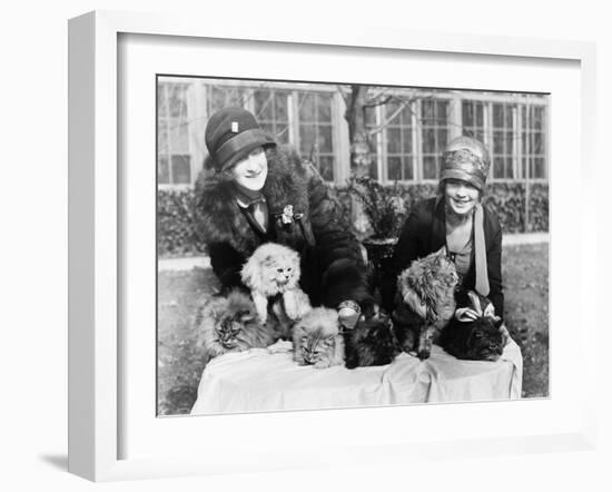 Women with their Persian Cats at Cat Show Photograph - Washington, DC-Lantern Press-Framed Art Print