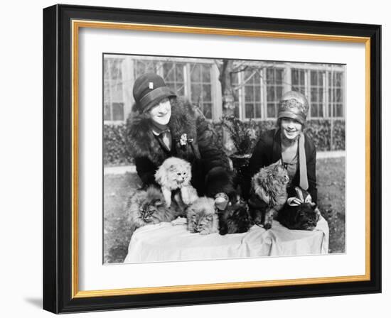 Women with their Persian Cats at Cat Show Photograph - Washington, DC-Lantern Press-Framed Art Print