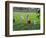 Women Work on Farmland, Bijaipur, Rajasthan, India-Keren Su-Framed Photographic Print