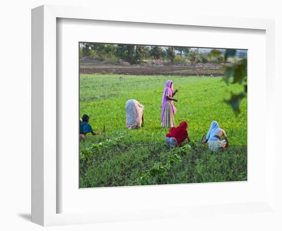 Women Work on Farmland, Bijaipur, Rajasthan, India-Keren Su-Framed Photographic Print