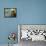 Wonder II-Lanie Loreth-Framed Stretched Canvas displayed on a wall