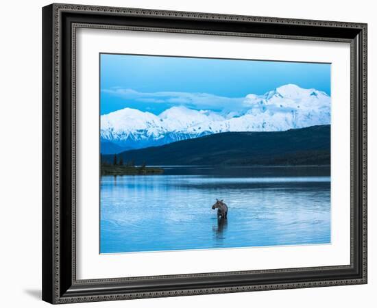 Wonder Lake in Denali National Park, Alaska.-Howard Newcomb-Framed Photographic Print