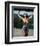 Wonder Woman-null-Framed Photo