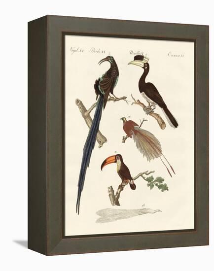 Wonderful Birds-null-Framed Premier Image Canvas