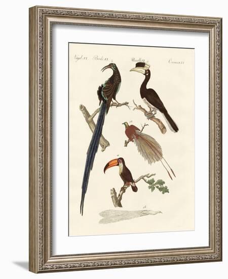 Wonderful Birds-null-Framed Giclee Print