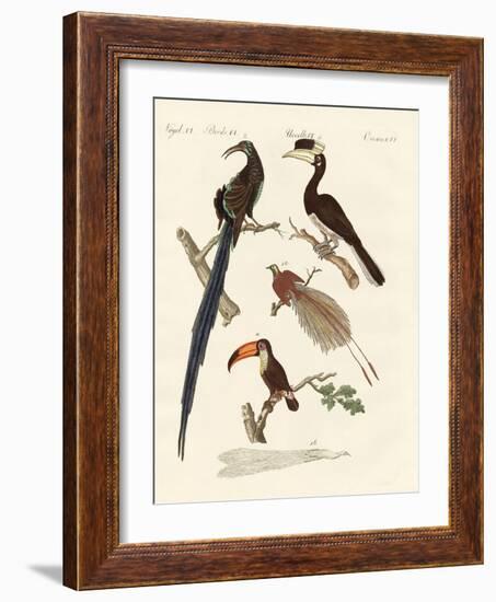 Wonderful Birds-null-Framed Giclee Print