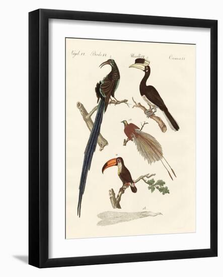 Wonderful Birds-null-Framed Giclee Print