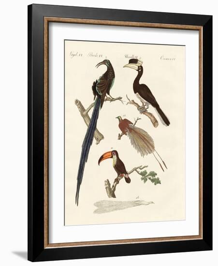 Wonderful Birds-null-Framed Giclee Print