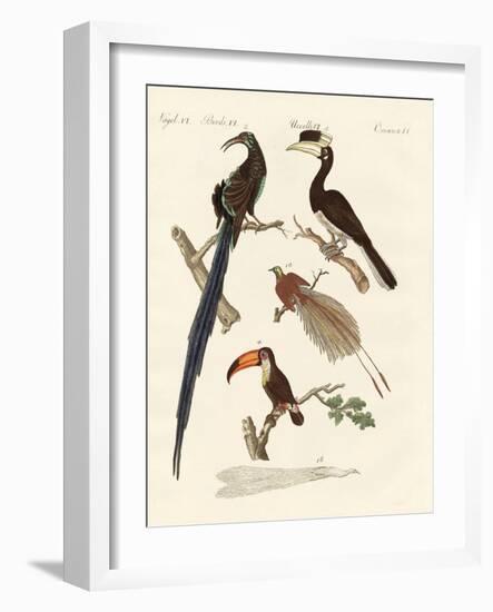 Wonderful Birds-null-Framed Giclee Print