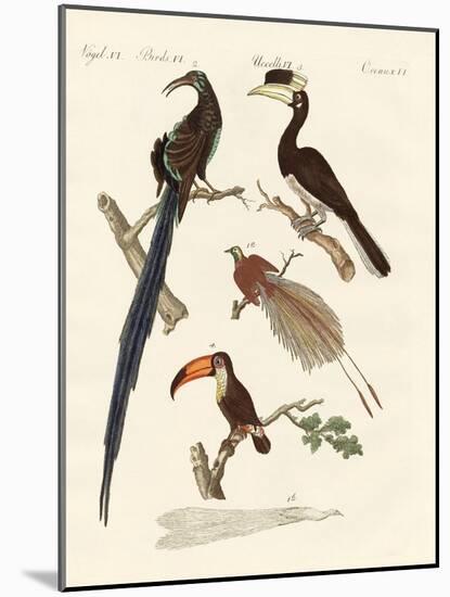Wonderful Birds-null-Mounted Giclee Print