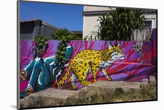Wonderful Graffiti, Valparaiso, Chile-Peter Groenendijk-Mounted Photographic Print