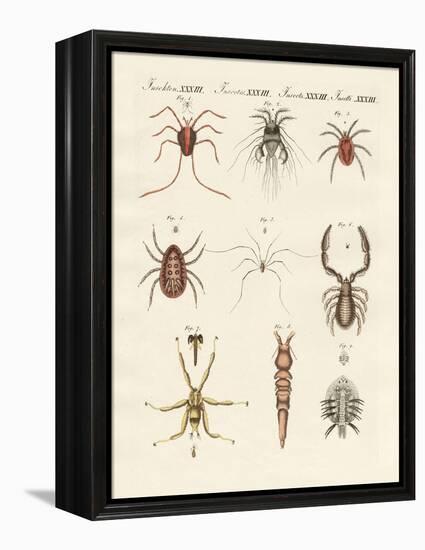 Wonderful Insects-null-Framed Premier Image Canvas