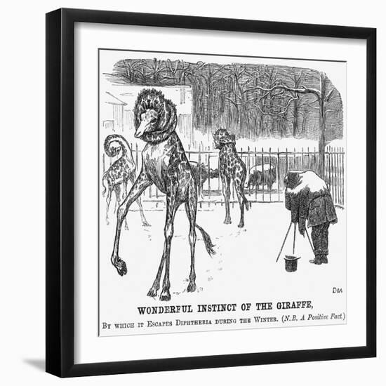 Wonderful Instinct of the Giraffe, 1865-George Du Maurier-Framed Giclee Print