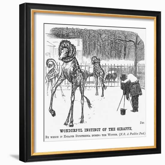 Wonderful Instinct of the Giraffe, 1865-George Du Maurier-Framed Giclee Print