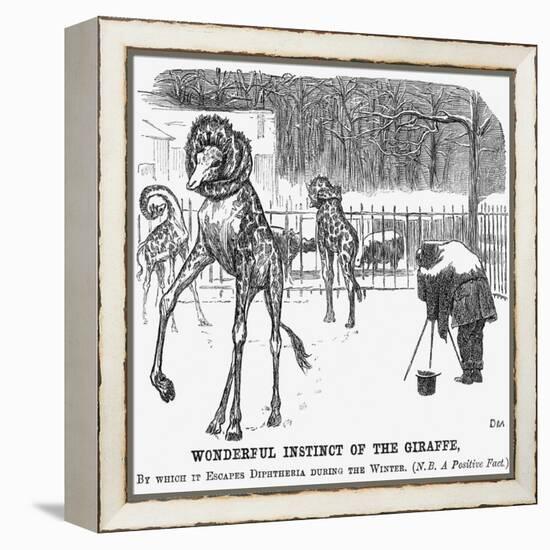 Wonderful Instinct of the Giraffe, 1865-George Du Maurier-Framed Premier Image Canvas