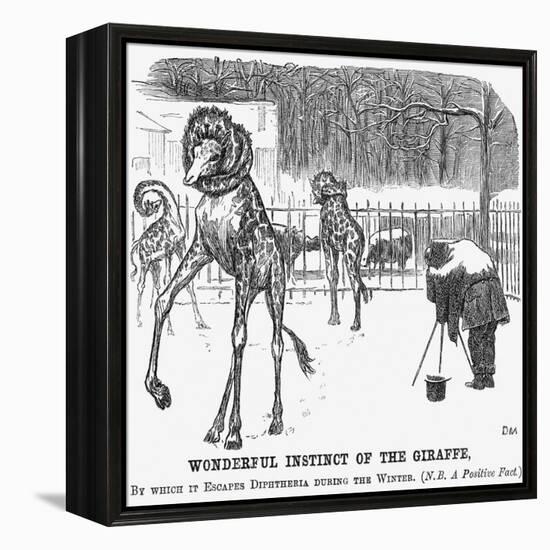 Wonderful Instinct of the Giraffe, 1865-George Du Maurier-Framed Premier Image Canvas