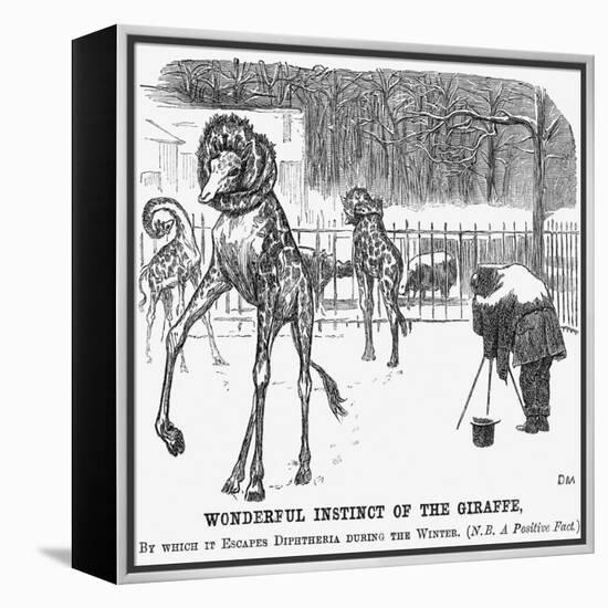 Wonderful Instinct of the Giraffe, 1865-George Du Maurier-Framed Premier Image Canvas