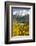 Wonderful Mountain Scenery of Svanetia, Georgia-Michael Runkel-Framed Photographic Print