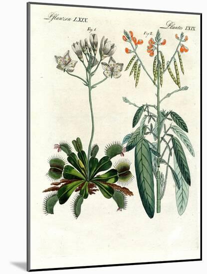 Wonderful Plants-null-Mounted Giclee Print