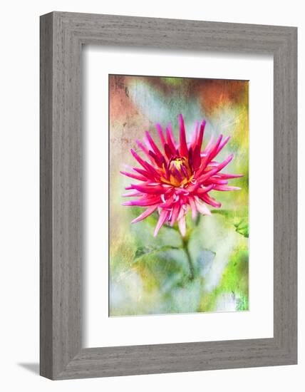 Wonderful World-Viviane Fedieu Daniel-Framed Photographic Print