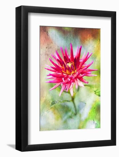 Wonderful World-Viviane Fedieu Daniel-Framed Photographic Print