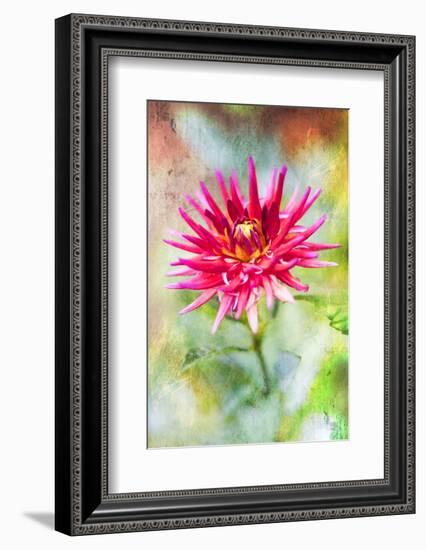 Wonderful World-Viviane Fedieu Daniel-Framed Photographic Print