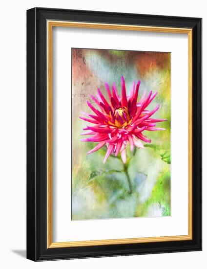 Wonderful World-Viviane Fedieu Daniel-Framed Photographic Print