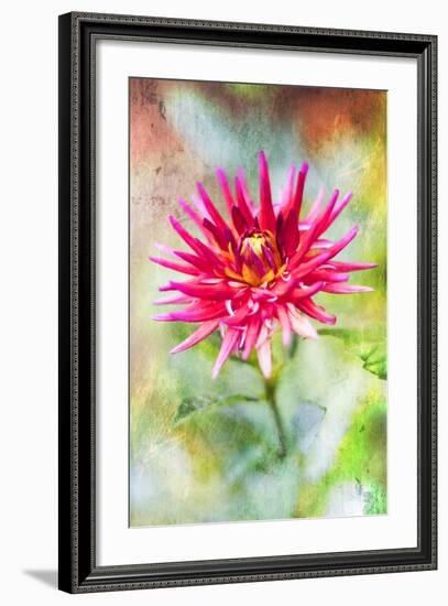 Wonderful World-Viviane Fedieu Daniel-Framed Photographic Print