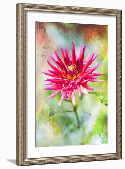 Wonderful World-Viviane Fedieu Daniel-Framed Photographic Print