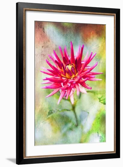 Wonderful World-Viviane Fedieu Daniel-Framed Photographic Print