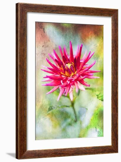 Wonderful World-Viviane Fedieu Daniel-Framed Photographic Print