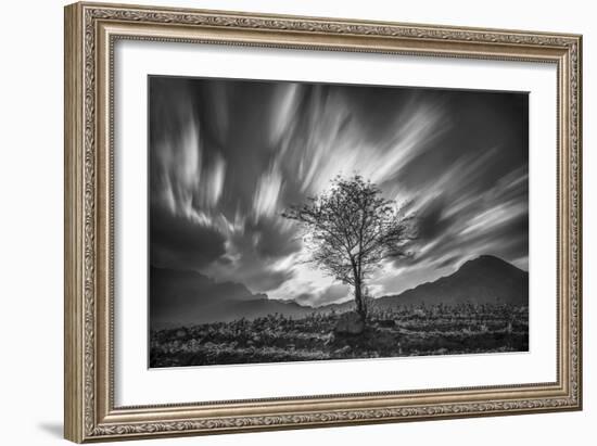 Wondrous Nature-Nhiem Hoang The-Framed Giclee Print