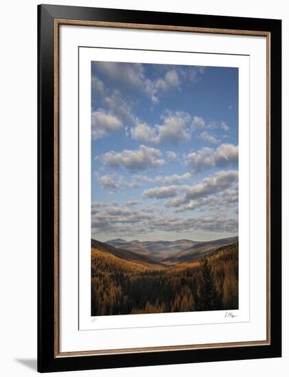 Wondrous Wild-Andrew Geiger-Framed Limited Edition