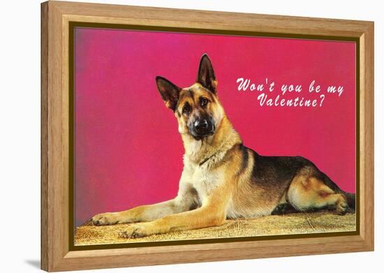 Wont You be My Valentine? Quizzical German Shepherd-null-Framed Stretched Canvas