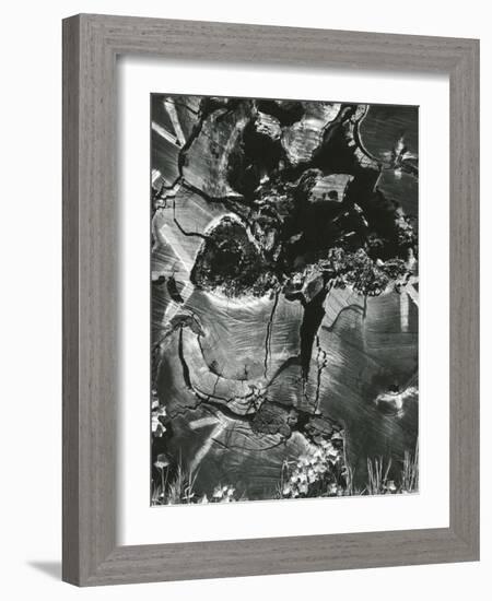 Wood, 1970-Brett Weston-Framed Photographic Print