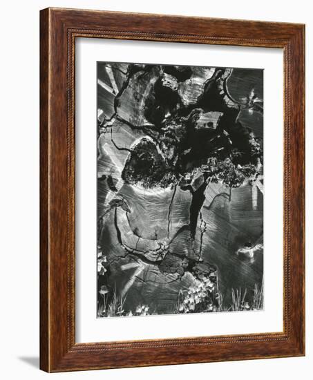 Wood, 1970-Brett Weston-Framed Photographic Print