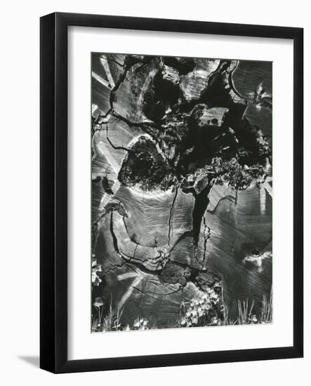 Wood, 1970-Brett Weston-Framed Photographic Print