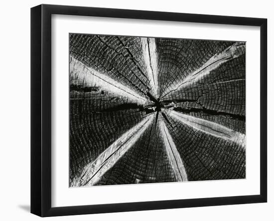 Wood, 1972-Brett Weston-Framed Photographic Print