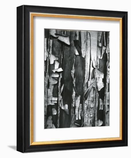 Wood and Cracked Paint, c. 1975-Brett Weston-Framed Premium Photographic Print