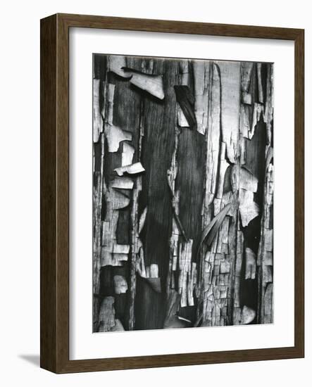 Wood and Cracked Paint, c. 1975-Brett Weston-Framed Photographic Print
