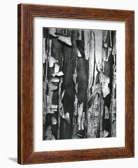 Wood and Cracked Paint, c. 1975-Brett Weston-Framed Photographic Print