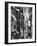 Wood and Cracked Paint, c. 1975-Brett Weston-Framed Photographic Print