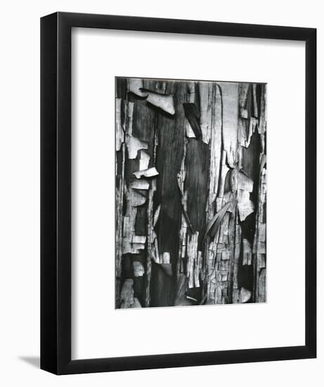 Wood and Cracked Paint, c. 1975-Brett Weston-Framed Photographic Print