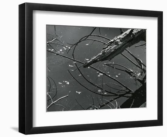 Wood and Water, c. 1970-Brett Weston-Framed Photographic Print